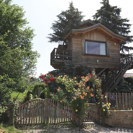 فيلا Baumhaus Imbach المظهر الخارجي الصورة
